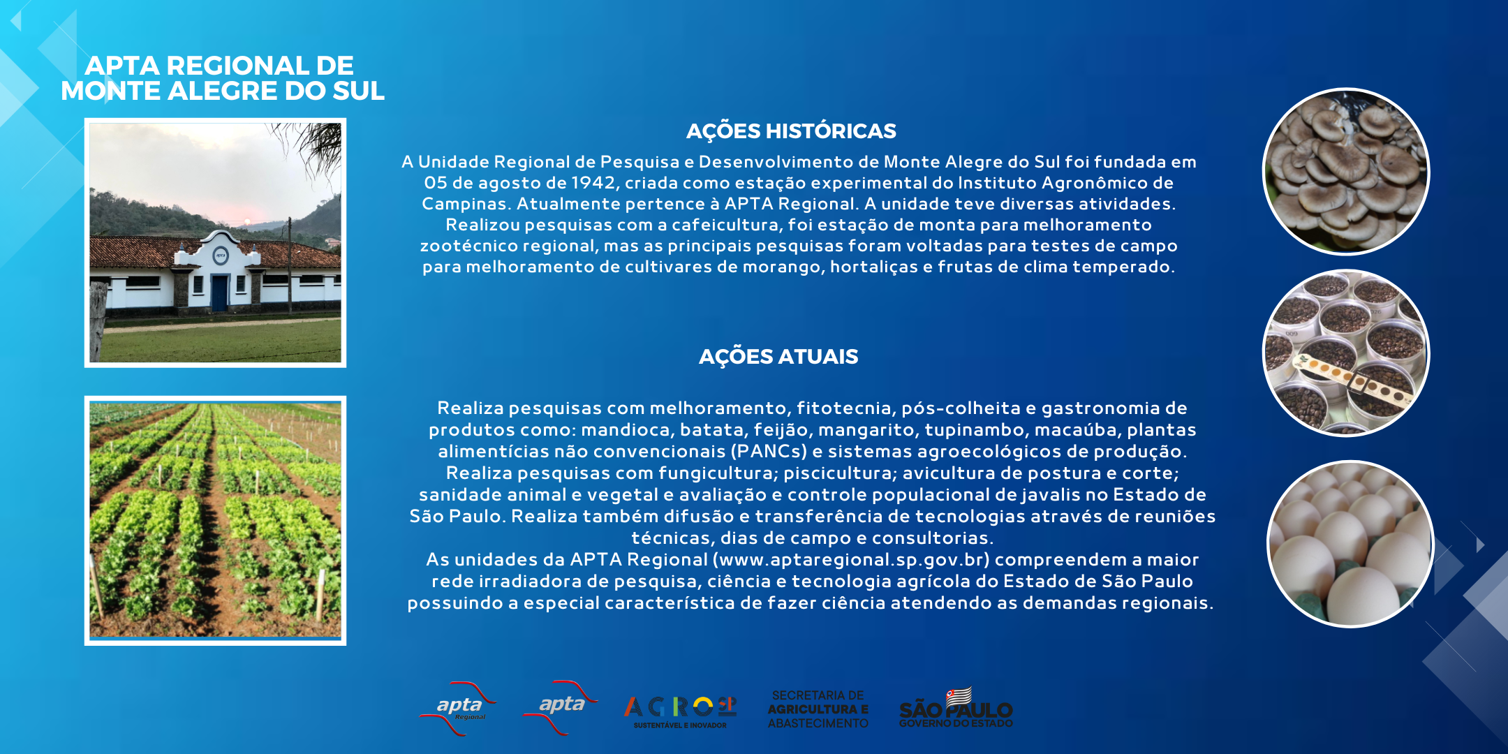 APTA REGIONAL DE MONTE ALEGRE DO SUL